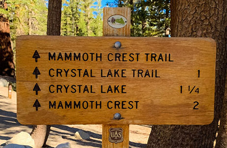 mammoth crest